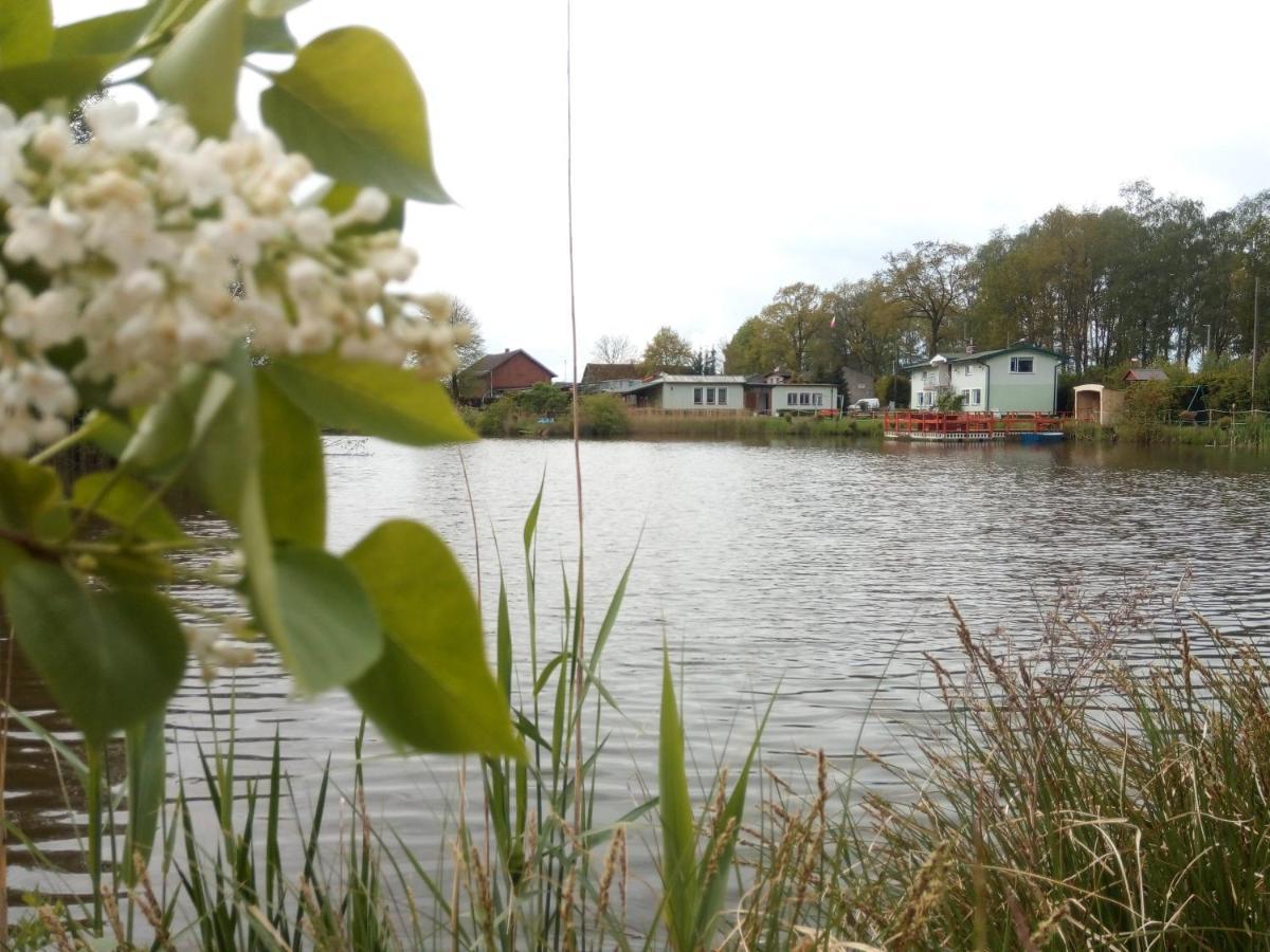 Agroturystyka Nad Morzem Zieleniewo  ภายนอก รูปภาพ
